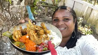 ALMOÇO DE HOJE AQUI NA ROÇA GALINHA GUISADO LEGUMES E MOLHO LAMBÃO