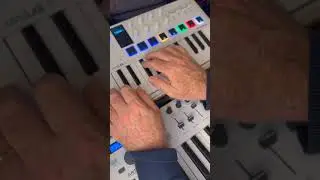 The Real Slim Shady - Eminem  midi looping using #arturiaminilab3