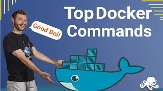Basic Docker Commands | Tutorial for Beginners | Useful List with Examples - Sematext