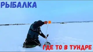 ТУТ ЩУКИ В КАЖДОЙ ЛУНКЕ!!! НАШЛИ МЫ ОЗЕРО!