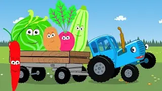 Синий трактор влог - Учим овощи и Собираем их для салата