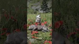 5 Insane Details in RDR 2! (Part 16)