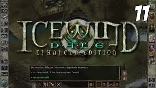 Icewind Dale: Enhanced Edition #11 - Pro Kiting