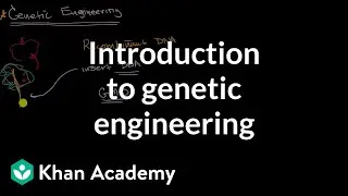 Introduction to genetic engineering | Molecular genetics | High school biology | Khan Academy