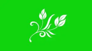 Flower animation greenscreen Full hd free download