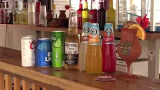 GW Animal Park Tiki Bar Commercial