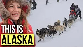 One of the BEST THINGS TO DO in ALASKA in the WINTER // Iditarod Race