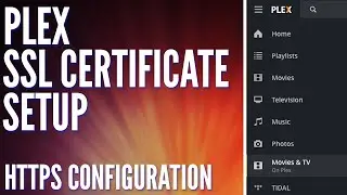 How to Setup an SSL Certificate for Plex using Nginx Proxy Manager