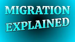 Database Migration Explained - What is It & How to Migrate?
