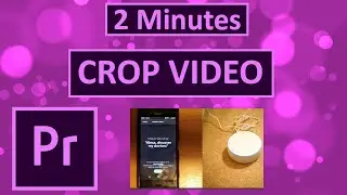 How To CROP Video In Premiere Pro