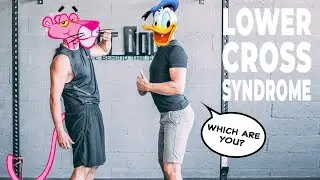 LOWER BACK PAIN: Are you Donald Duck or Pink Panther?