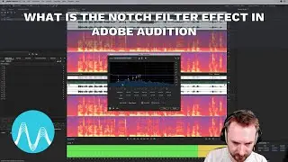 What Is The Notch Filter Effect in Adobe Audition