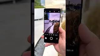 Vivo X100 Pro Macro Photography 
