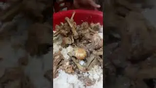 Chicken biryani mixing in a bowl