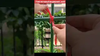 Секрет супер-прочного узла для ваших опор! #квіти #опора #garden #shorts #diy #лесенка #своимируками