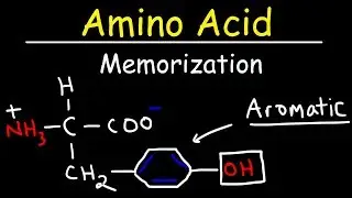 Memorize The 20 Amino Acids - The Easy Way!