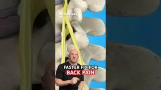 Herniated Disc Same-Day Fix #shorts