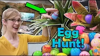 Having an Easter Egg Hunt in the Zoo!