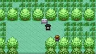 VOLVEMOS A LA AVENTURA! | Pokemon Reloaded #2 | TheKratosTube