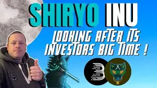 SHIRYO INU PROTECTING THEIR INVESTORS | BIRMART HACK SUPPORT | NO NEED TO WORRY !