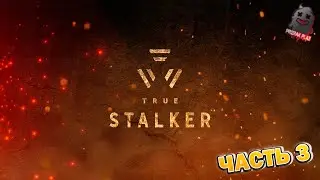 S.T.A.L.K.E.R | МОД TRUE STALKER | ПЛАТФОРМА ЗОВ ПРИПЯТИ | ПРОХОЖДЕНИЕ | ЧАСТЬ 3 | ВЕБКА | ОБЩЕНИЕ