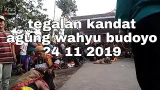 angkerrr!!! nya bantengan agung wahyu budoyo.