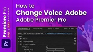 How to Change Voice in Adobe Premiere Pro 2024: The Ultimate Solutions !