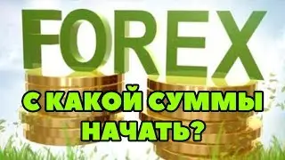 С какой суммы начать торговать на Форекс? Как правильно торговать на Форекс новичку?