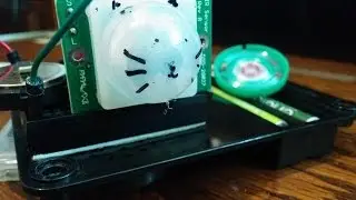 Meow-tion Sensor