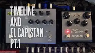 Why the Strymon Timeline and Strymon El Capistan