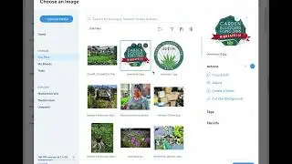 Wix Media Library Storage Issues - Feature Requests