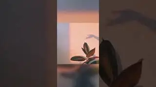 Эстетичные фото под музыку:)