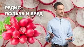 ПОЛЬЗА И ВРЕД РЕДИСА |  ЛУЧШИЕ РЕЦЕПТЫ