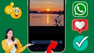 WhatsApp Durum Beğeni Düğmesi Seçeneğinin Görünmemesi Nasıl Düzeltilir