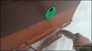 Пчелы 6.01.24 как-то так...