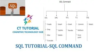 All Types of SQL Commands with Example | SQL commands tutorial for beginners | DQL DDL DML DCL| DBMS