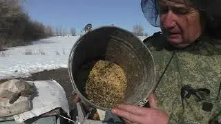 первые работы