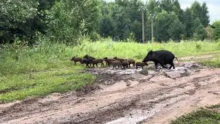 Почетные гости Никольского фестиваля