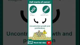 Hallmarks of cancer | characteristics of cancer cells | 1 minute cell biology