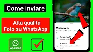 come inviare foto di alta qualità su whatsapp