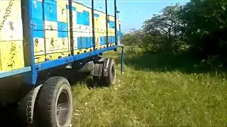 Пчеловодство в карантин 2020 чего ждать и что предпринимать