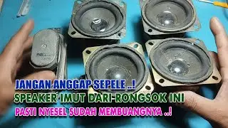 Kecil kecil cabe rawit mungkin itu kata yang tepat - cek speaker dari rongsok