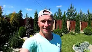 Как сделать красивый газон на даче. Аэрацция газона . Подкормка газона. Газон своими руками