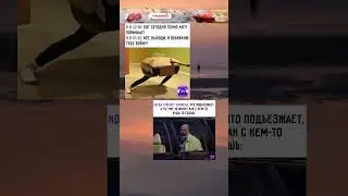 Подборка мемов #memes #мем #мемы #funny #mellstroy #меме #fyp