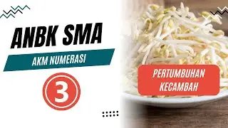 Pembahasan ANBK SMA: AKM Numerasi Part 3 | Pertumbuhan Kecambah