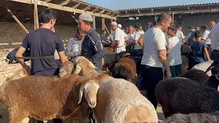 Beshariq qõy bozori bugungi narhlar bilan tanishing 25.08.2024yil
