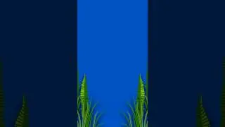 Best Leaves Overlay Animation - 4K