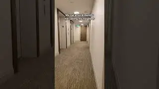 POV: She didn’t know the word moved out. 