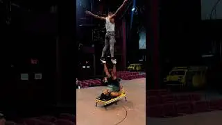 How many did you count? | Cirque du Soleil