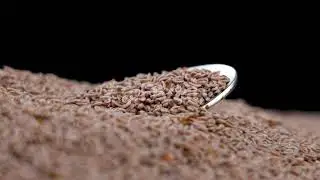 Psyllium Seeds or Ayurveda Autentico Isabgol on black with spoon / Videohive, Stock footage, Food